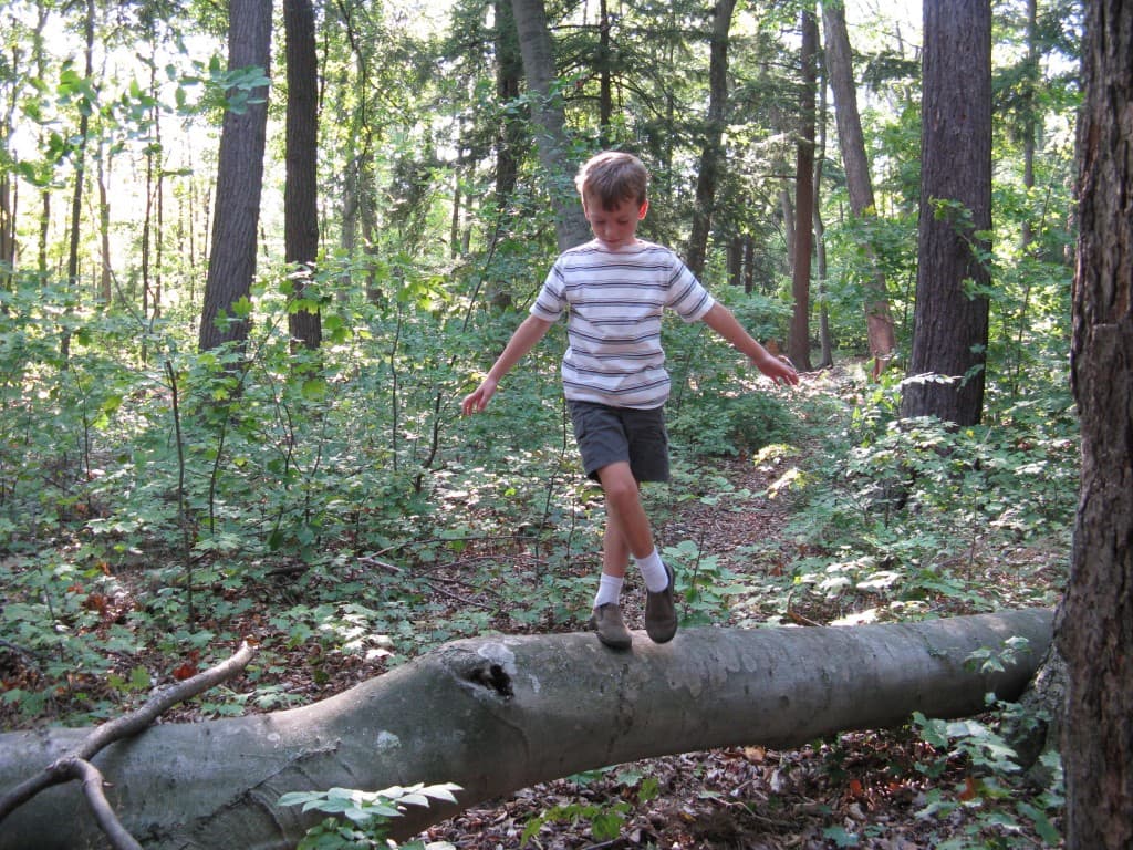 We say "no" to homework and "yes" to dancing on logs.