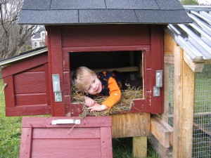 What's it like to be a chicken?