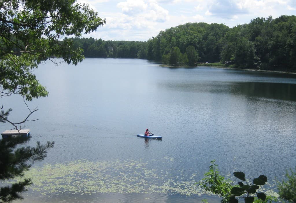 Where Ideas Come From